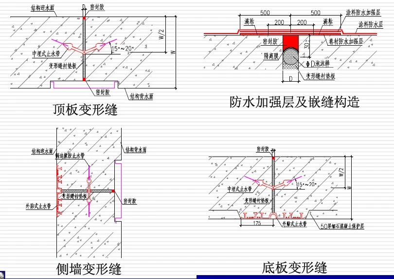 畜禽良种场变形缝防水