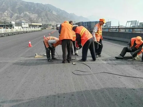 畜禽良种场道路桥梁病害治理