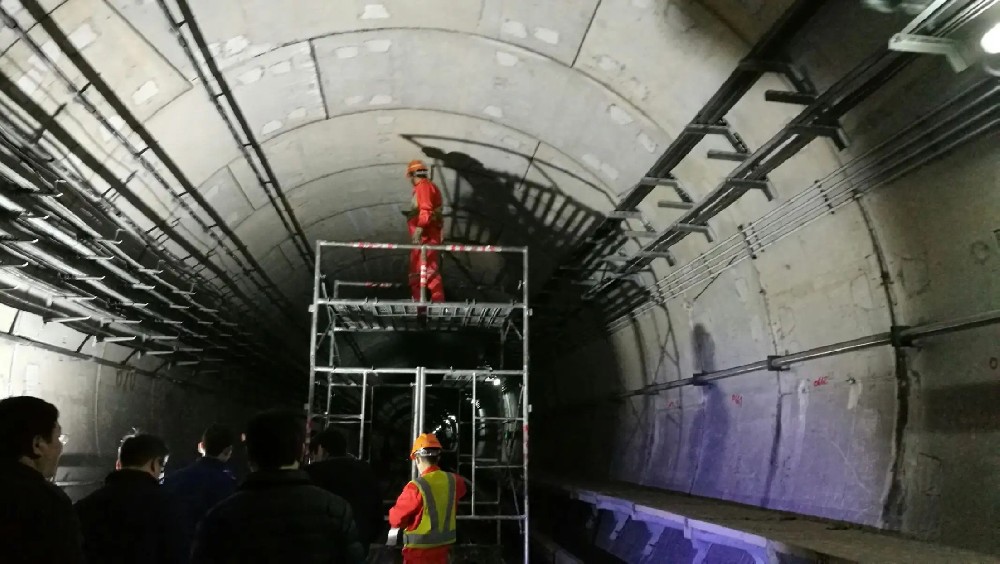 畜禽良种场地铁线路养护常见病害及预防整治分析